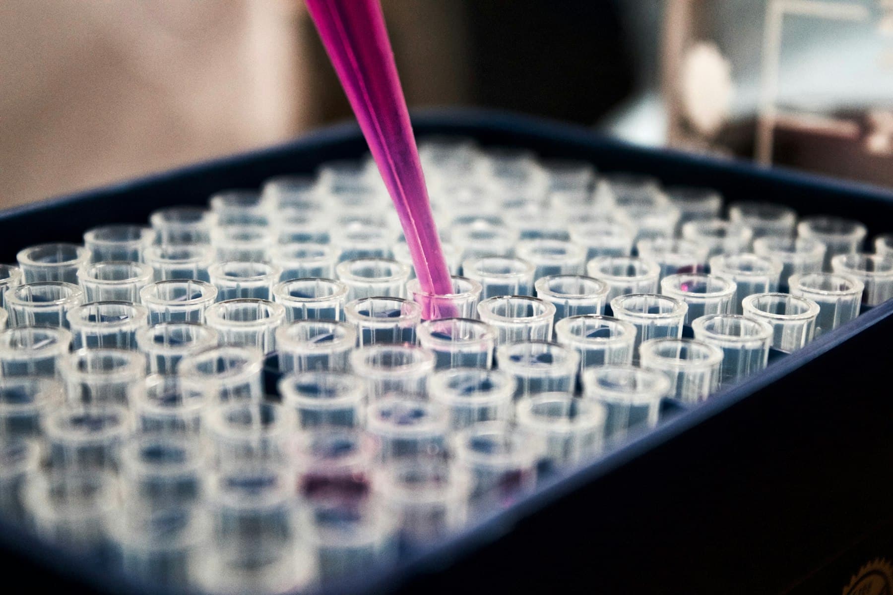 A pipette dispensing a sample into a laboratory tray